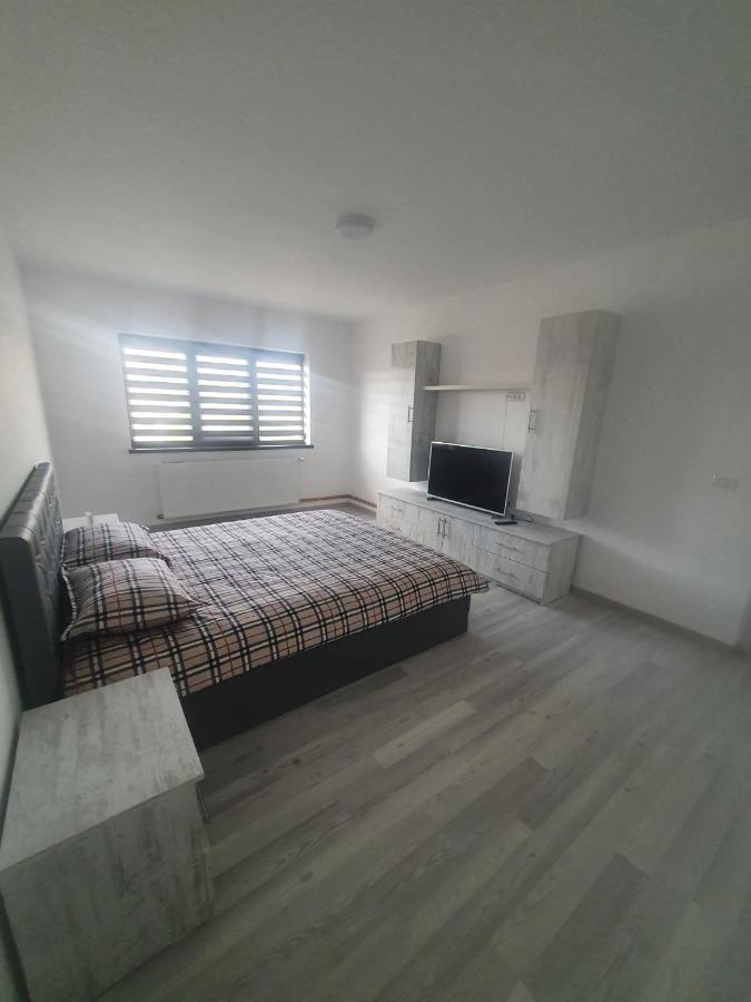Apartament Nicole Curtea de Argeş المظهر الخارجي الصورة